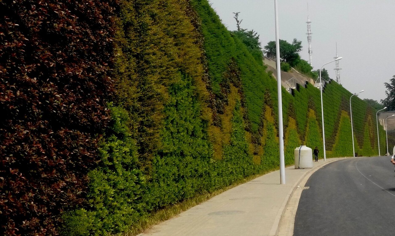 قطر، میزبان بزرگ‌ترین دیوار سبز جهان
