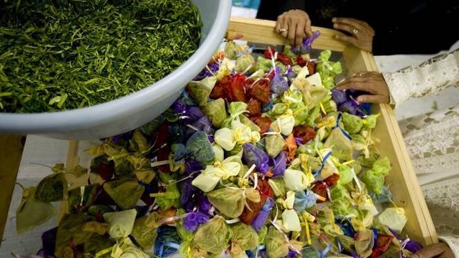 سنتهای مختلف جشن میلاد پیامبر اسلام (ص) در جهان اسلام