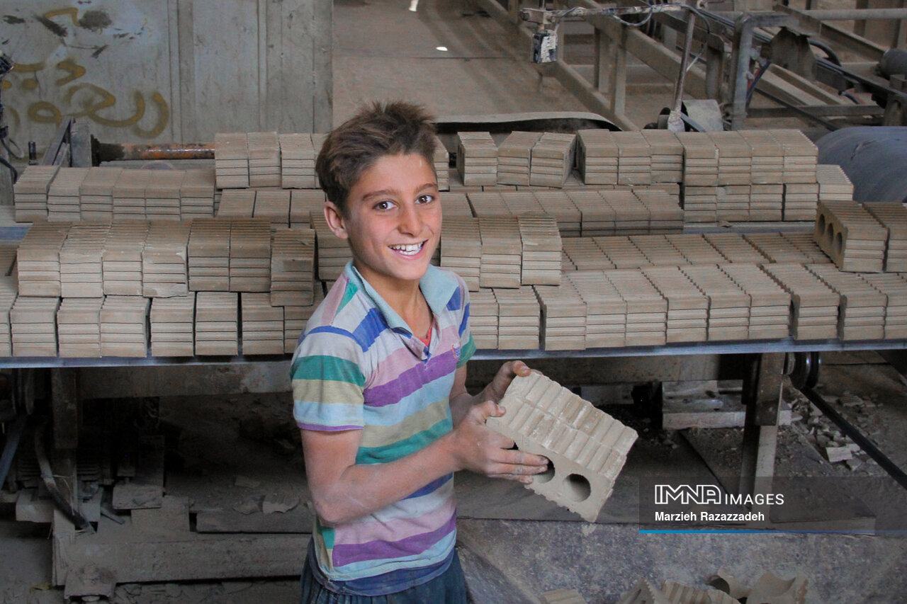 تصمیم امیدوارکننده توقف توسعه در فلات مرکزی/ کاشت موفق مرجانهای دریایی در جزایر خلیج فارس