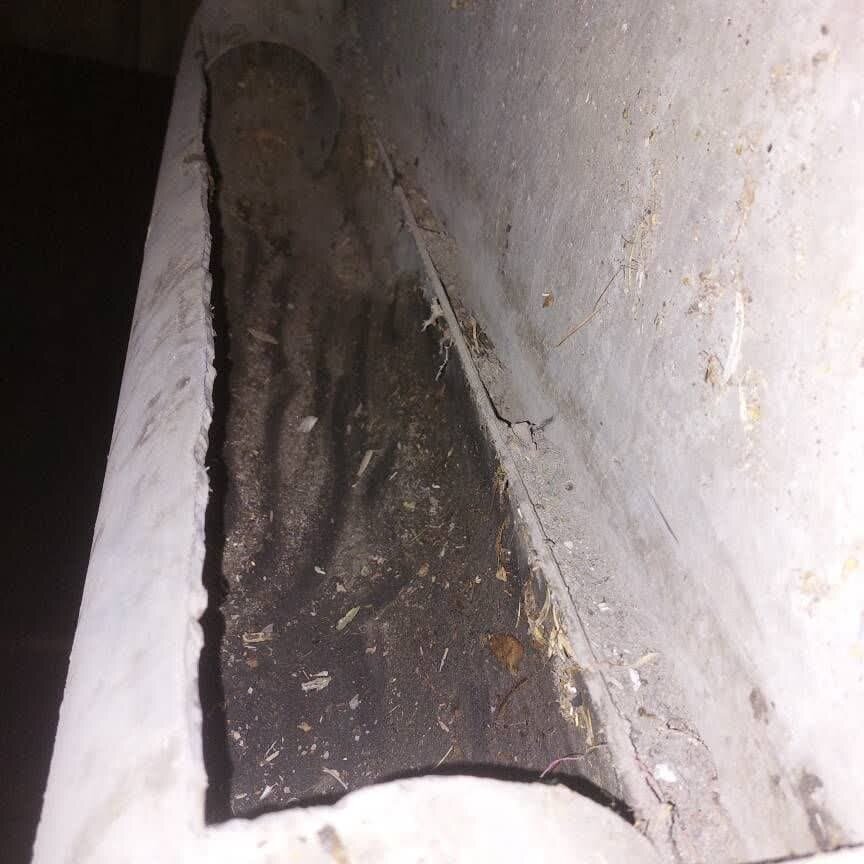 ناودان و درزهای انبساطی پلهای سوارهروی اصفهان شستوشو میشود