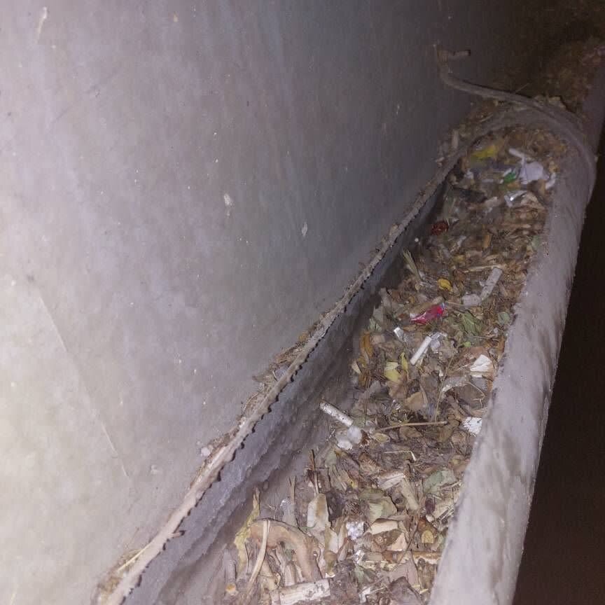 ناودان و درزهای انبساطی پلهای سوارهروی اصفهان شستوشو میشود