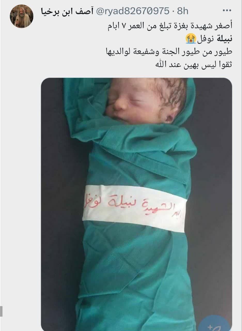 طوفان شهادت«نبیله نوفل» در فضای مجازی