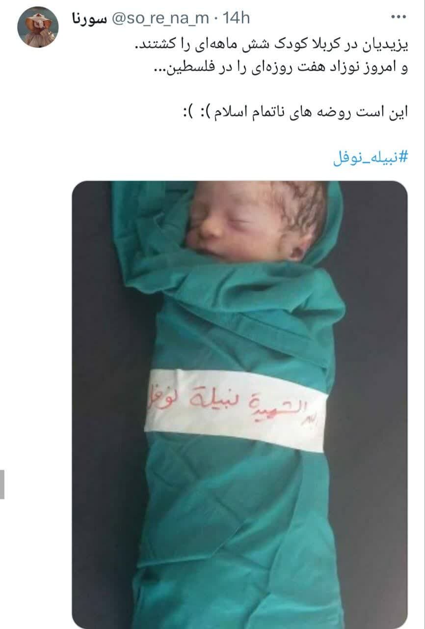 طوفان شهادت«نبیله نوفل» در فضای مجازی