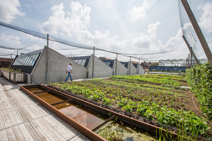 شهرهای میزبان بهترین پروژههای انرژی خودکفا