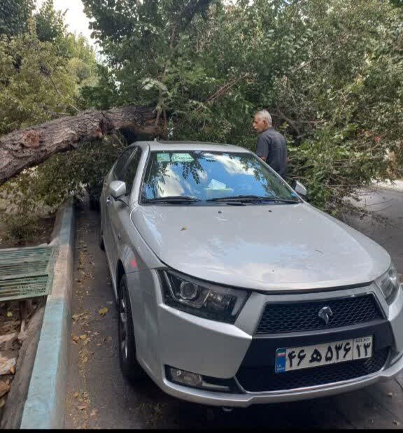 سقوط درخت روی خودرو در چهارباغ پایین اصفهان