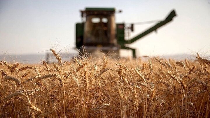 تامین 50 هزارتن گندم موردنیاز مازندران از طریق خطوط ریلی