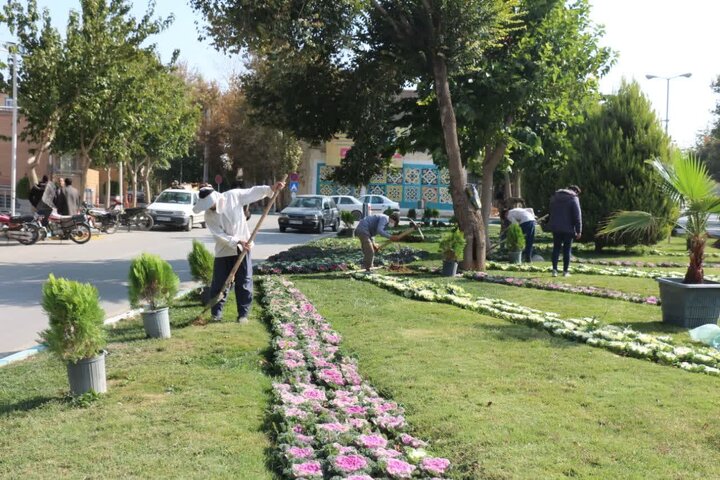 کاشت ۲۰ هزار گل در سطح منطقه ۱۱ اصفهان