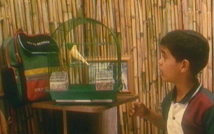 مروری بر سهم فلسطین در سینمای ایران