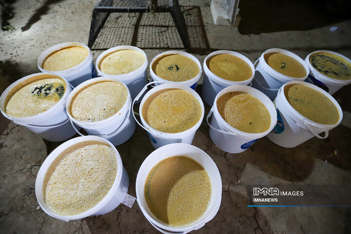 "Preserving Tradition: Hazave Village's Timeless Art of Grape Syrup Making"
