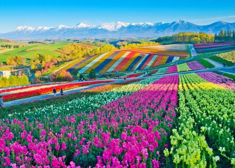 بهترین دهکدههای گردشگری در سال ۲۰۲۳/ کندوان در فهرست توریستیترین روستاهای جهان