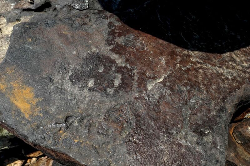 ماجرای چهرههای عجیب برزیل چه بود+ عکس