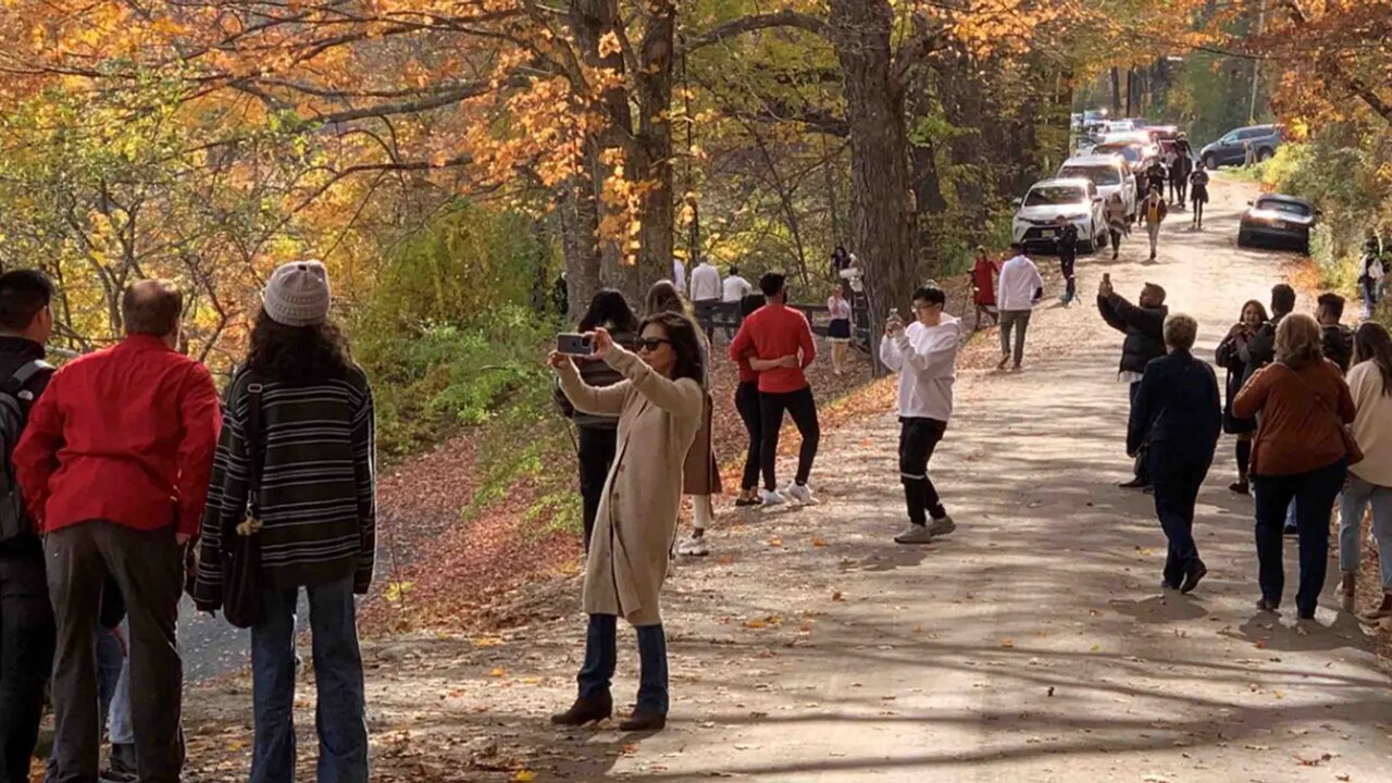 اینفلوئنسرها حق ورود به این منطقه را ندارند