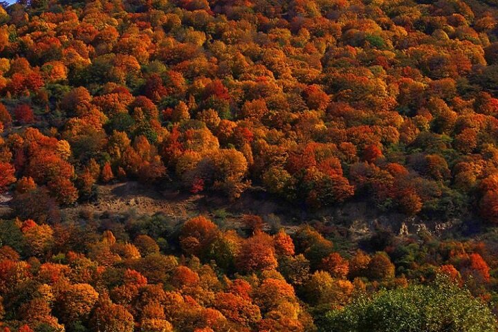 سفری به دل جادههای پاییزی
