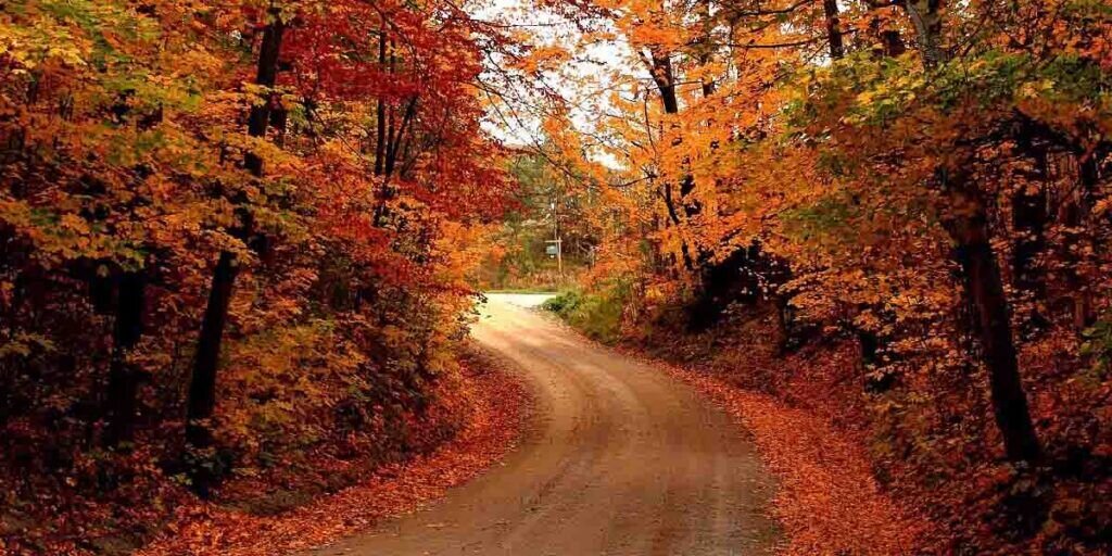 سفری به دل جادههای پاییزی