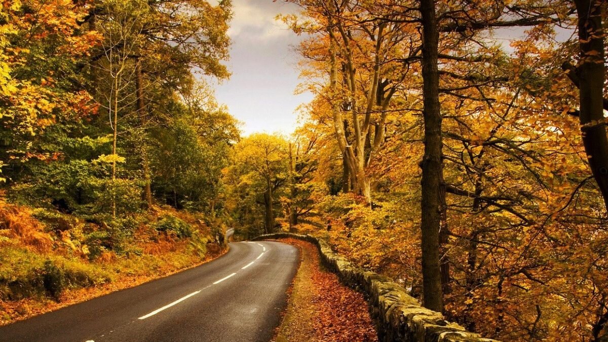 سفری به دل جادههای پاییزی