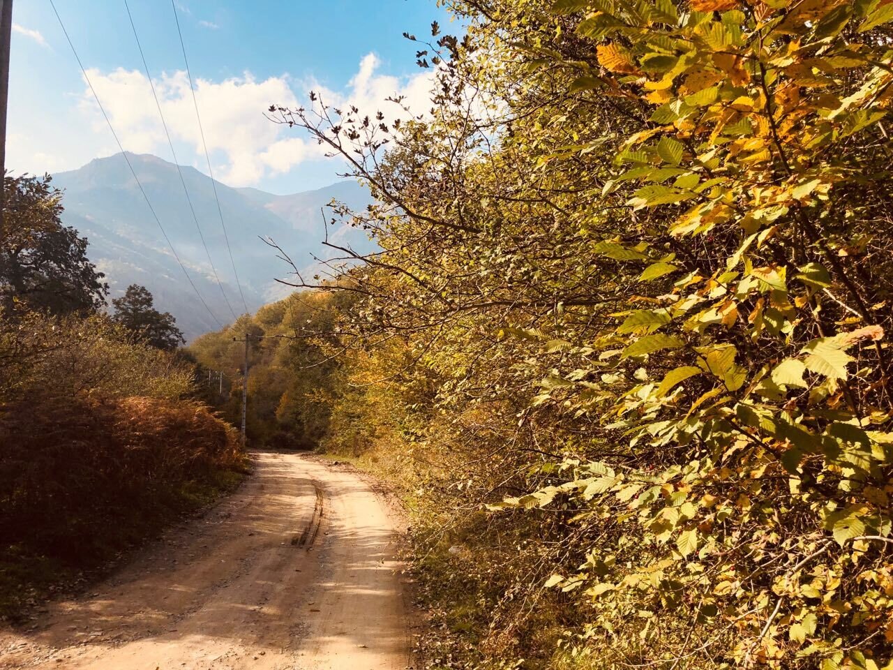 سفری به دل جادههای پاییزی