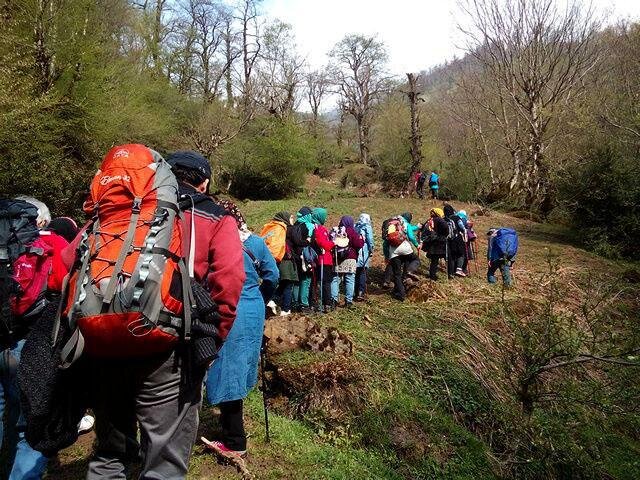 تاسیس دبیرخانه گردشگری سبز/ از ظرفیتهای طبیعتگردی به خوبی استفاده نشده است