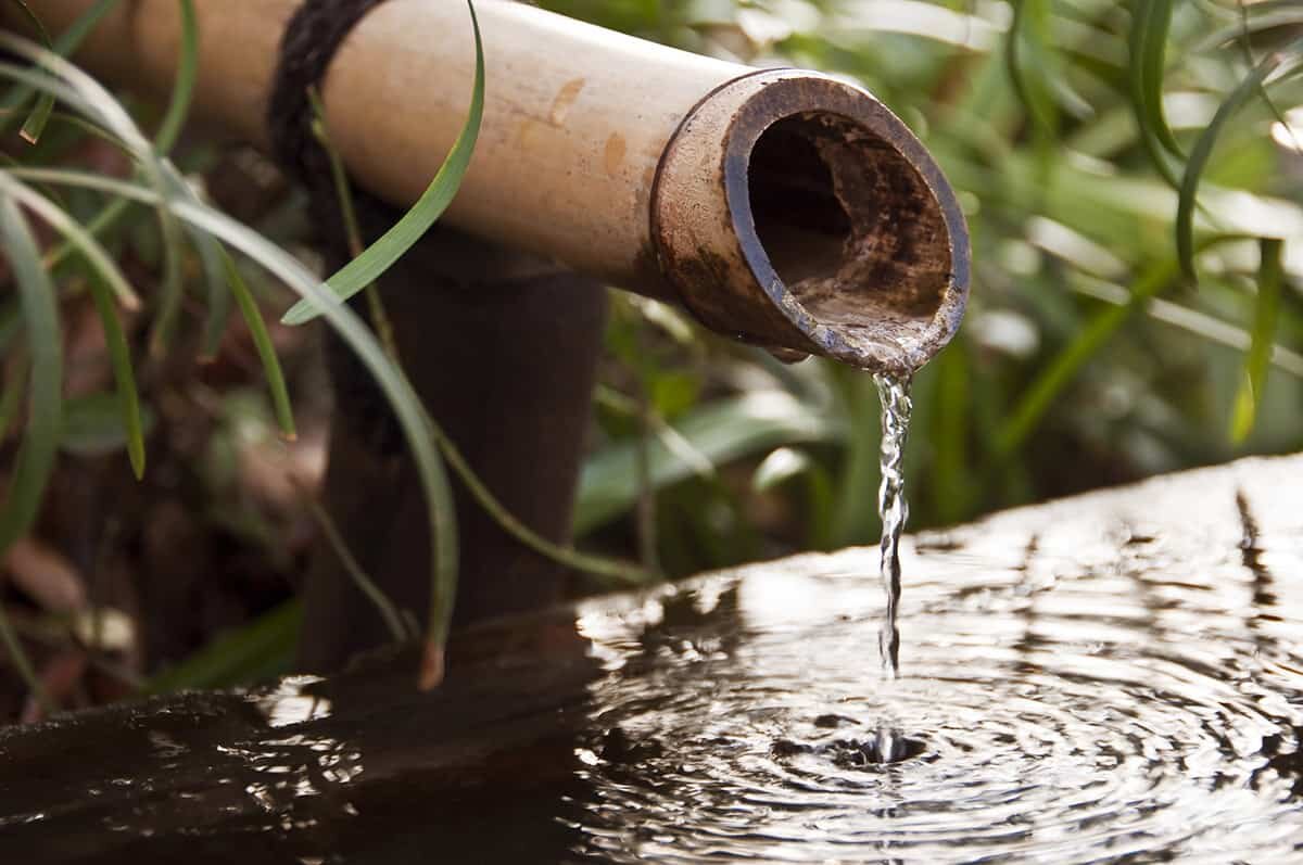 «آب خاکستری» سایه بحران را روشن میکند