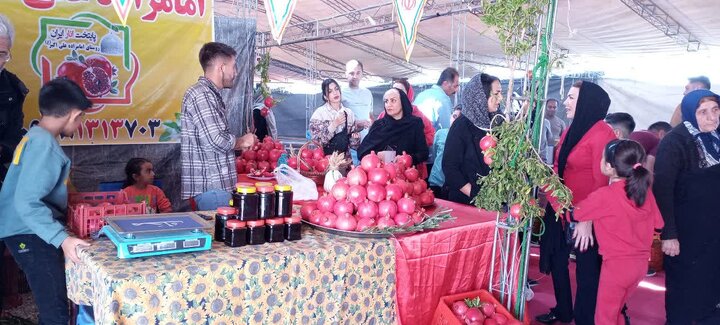 ششمین جشنواره انار شهرضا در پایتخت انار ایران افتتاح شد