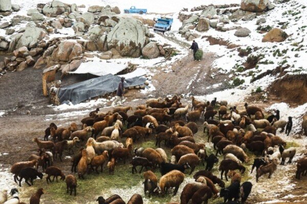 بارش برف در ارتفاعات آذربایجان‌شرقی