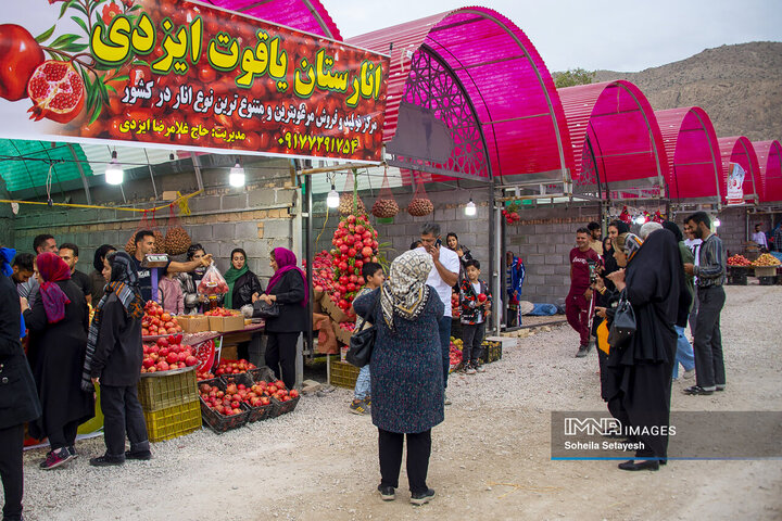 هفتمین جشنواره گردشگری انار فاروق