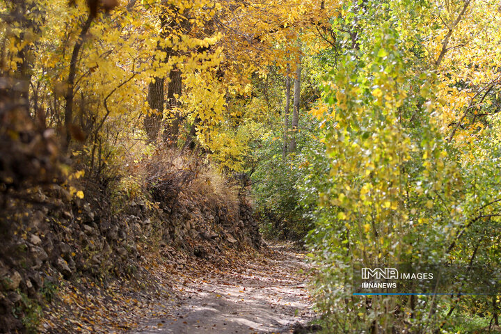 پاییز روستای وفس