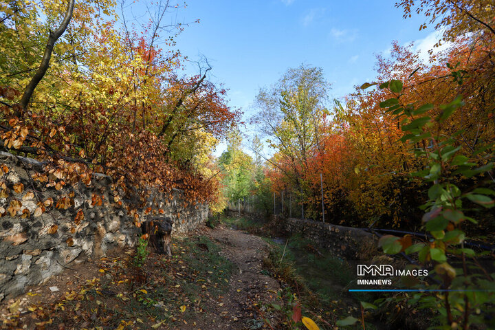 پاییز روستای وفس