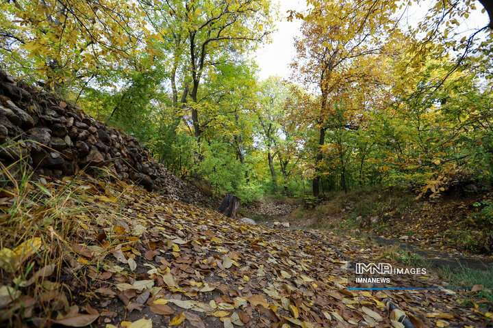 پاییز روستای وفس