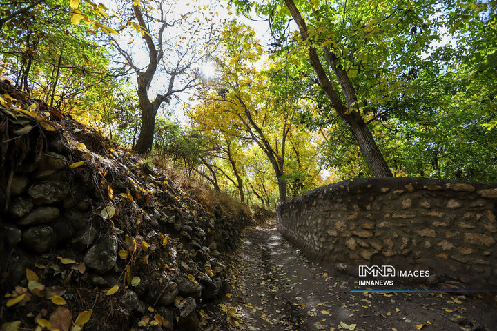 Captivating Autumn Landscape of Iranian Village
