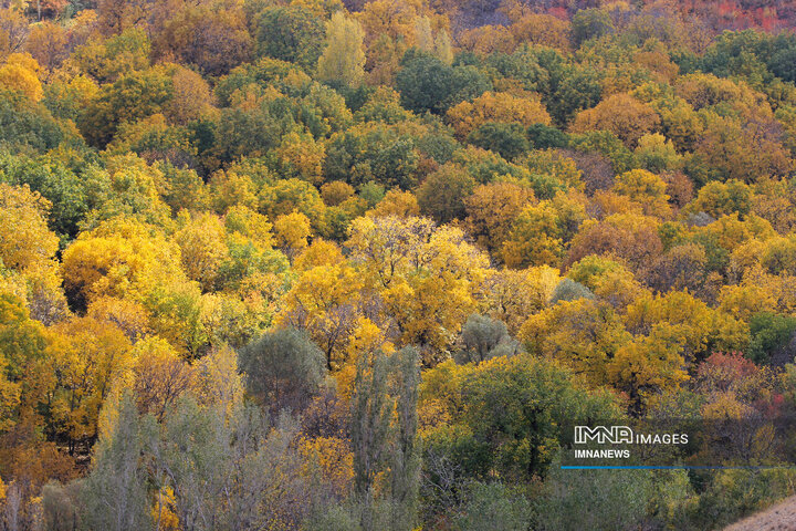 پاییز روستای وفس