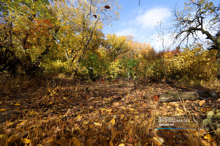 پاییز روستای وفس