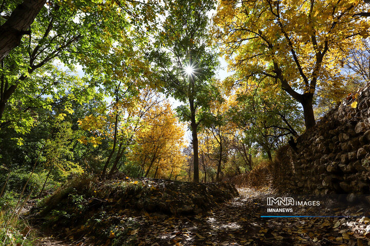 پاییز روستای وفس
