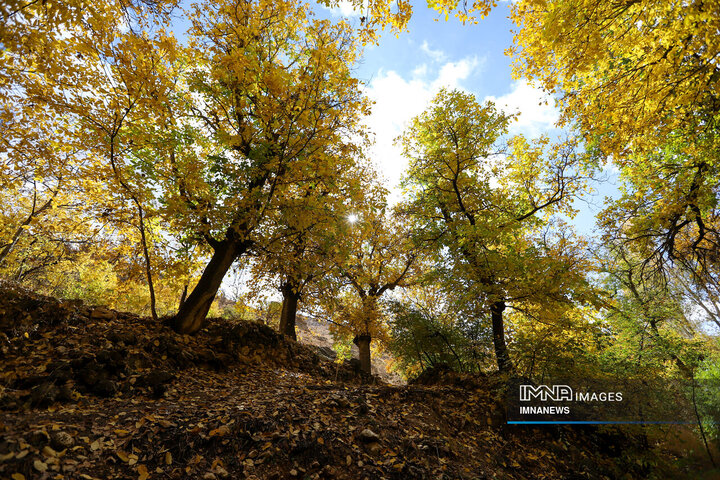 پاییز روستای وفس