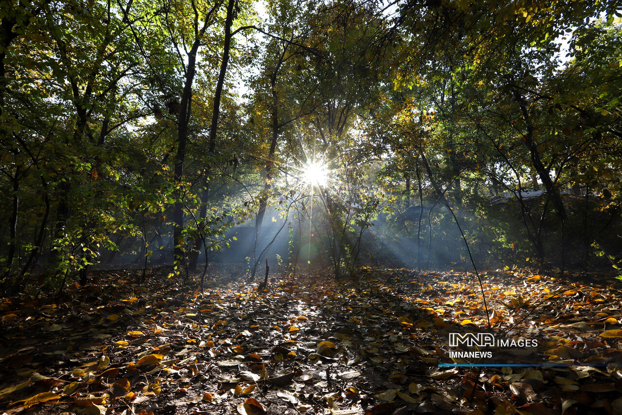 یک بام و دو هوای زمستانِ گرم