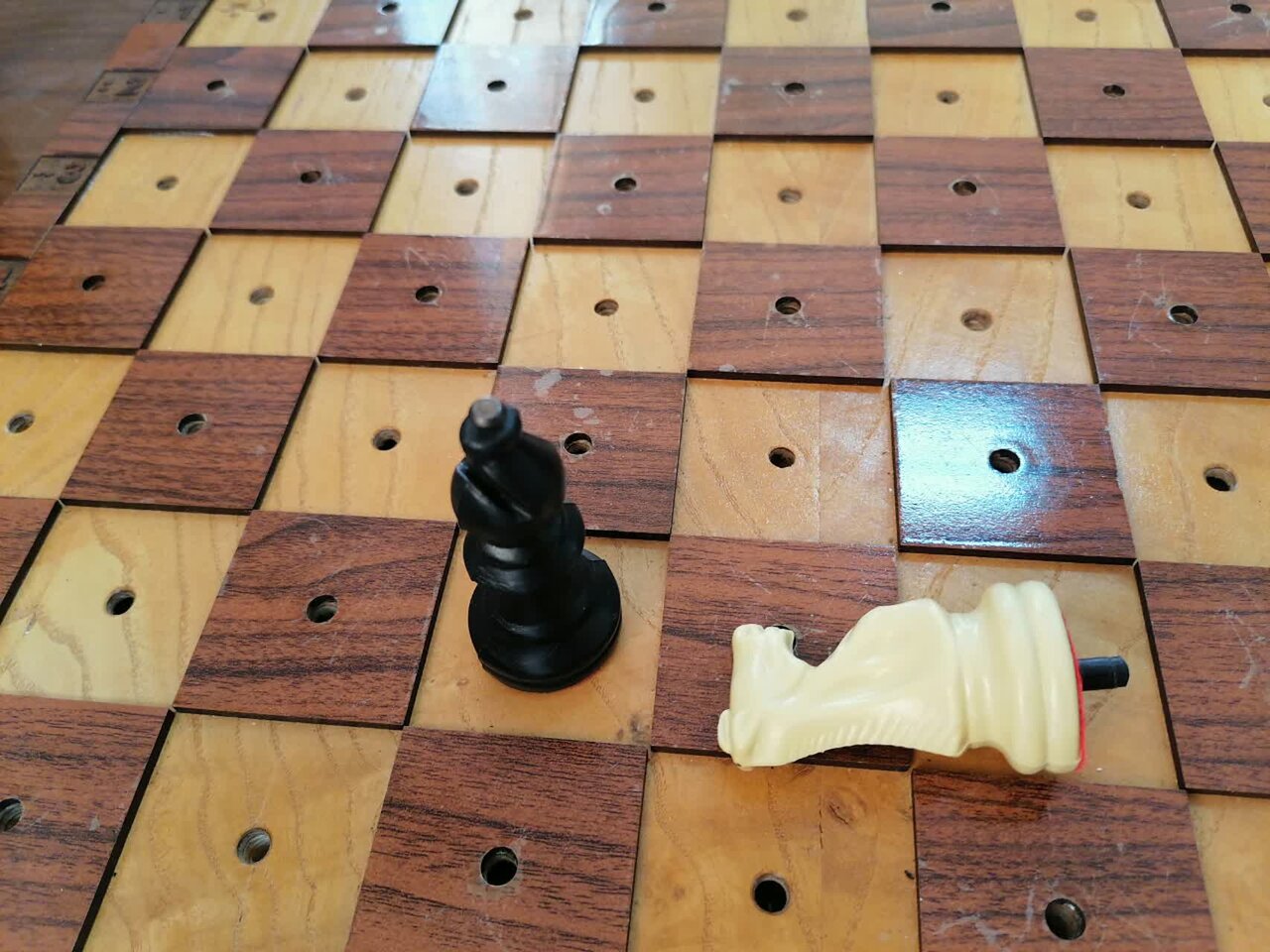 دنیای نادیده مریم از نویسندگی و گویندگی تا سوارکاری