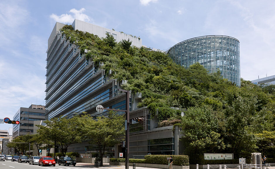 تغییر کاربری خلاقانه پشتبامها برای بهبود کیفیت زندگی شهری