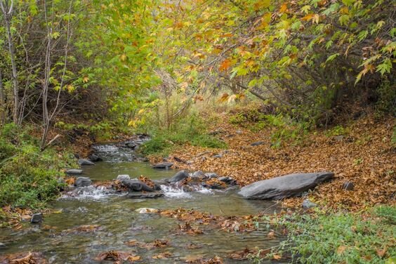 سفری به دل روستاهای پاییزی