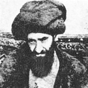 وقتی علامه مجلسی، با سلاح قلم به سفر میرفت