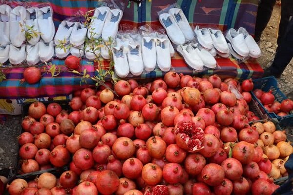 انارستانهای هورامان، مقصد گردشگران پاییزی کردستان