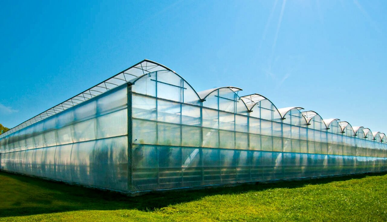 برای ساخت و راه اندازی گلخانه فقط این لوله را استفاده کنید