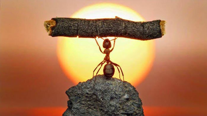 افزایش اعتماد به نفس