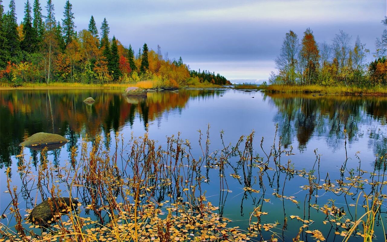 سفری از غرب تا جنوب ایران زمین / از دریاچه صورتی مهارلو تا درختان پاییزی اوان