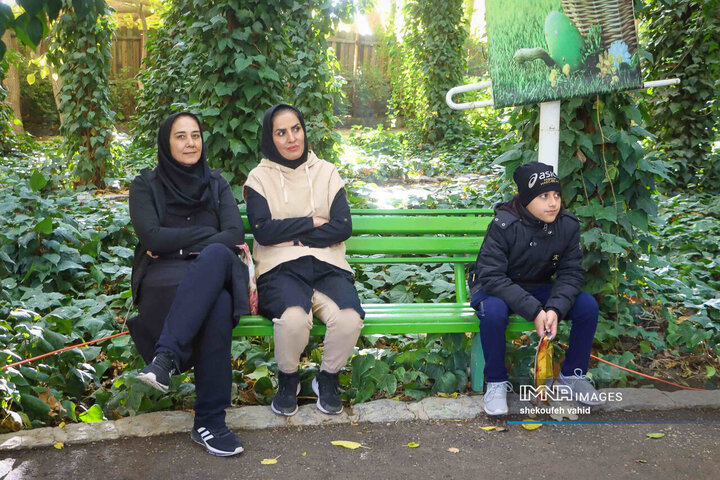 همایش پیاده روی کارکنان شهرداری اصفهان