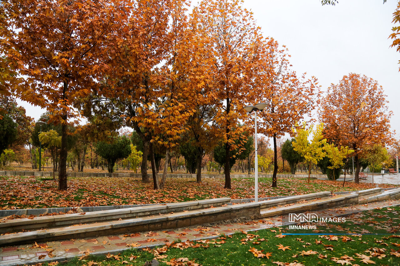 عصرانه خبری شهرهای ایران در ۱۳ آذر