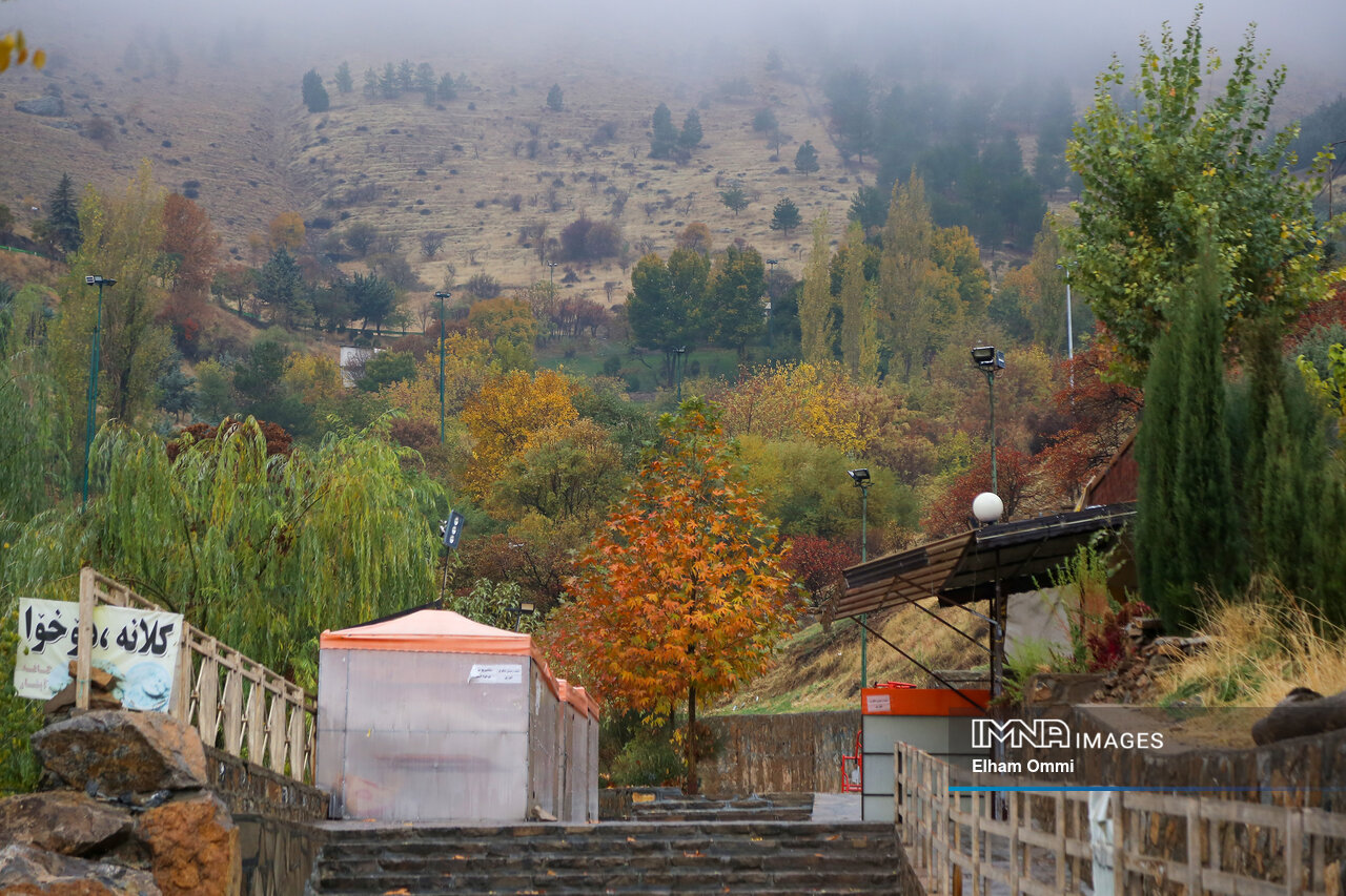 پیشبینیهایی که درست از آب در نیامد / پاییزی که گلویش تر نشد