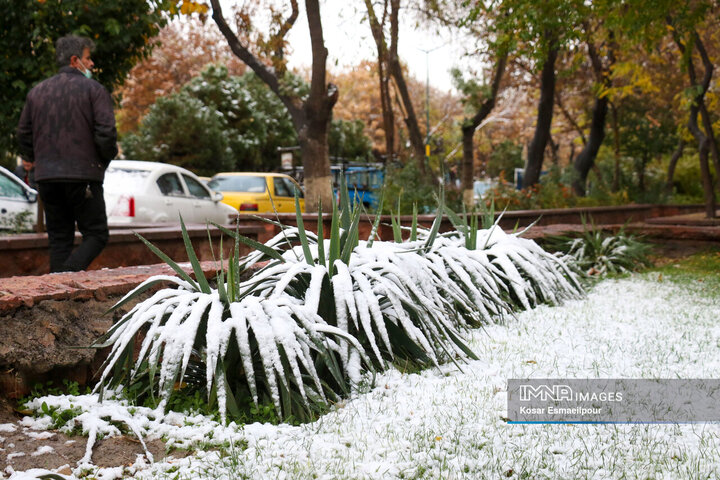 Tabriz Transformed: The Enchanting Arrival of Winter's First Snowfall