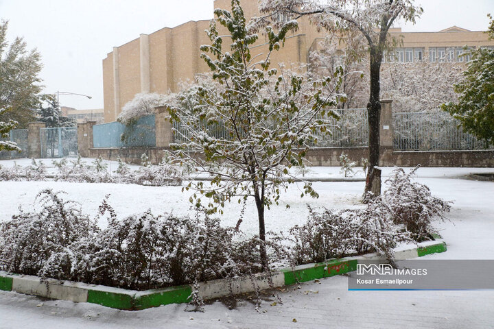 Tabriz Transformed: The Enchanting Arrival of Winter's First Snowfall