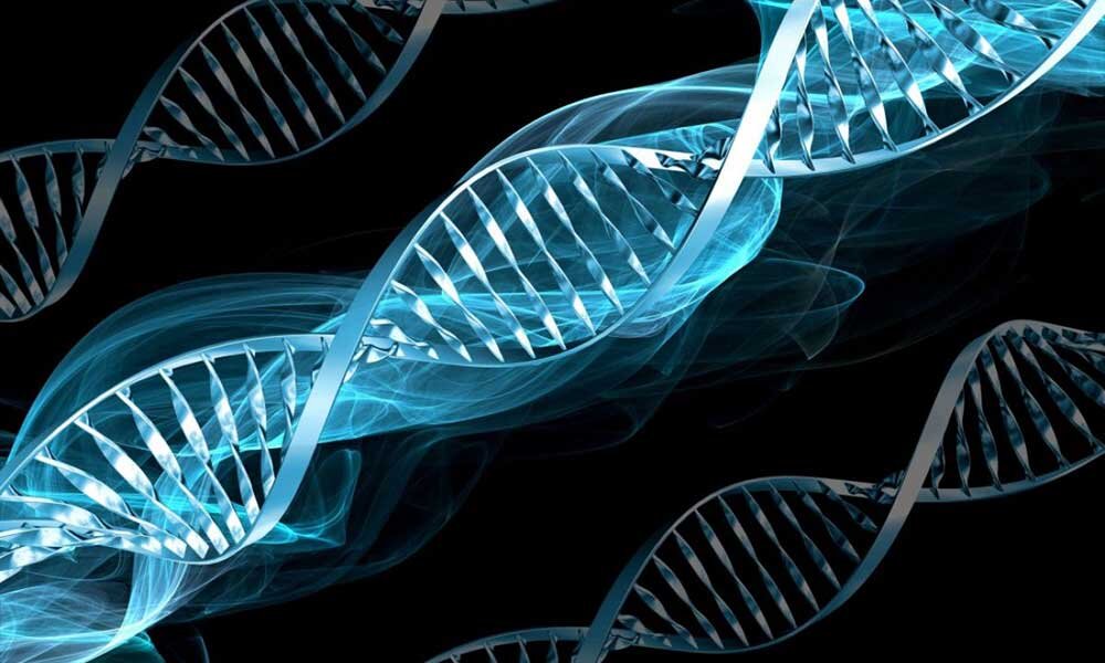 «محصولات تراریخته» برگ برنده تحولات کشاورزی یا خطری در کمین