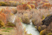 کارت پستال های پاییزی در روستای مورکان اصفهان