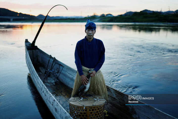 هنر رو به مرگ ماهیگیری ژاپنی